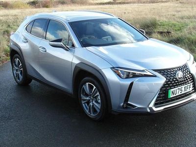 New 2025 Lexus UX 300e SUV | £32,000 (Expensive)