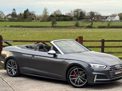 Used Audi A5 Design 354 HP (260 kW) 2018 Coupe