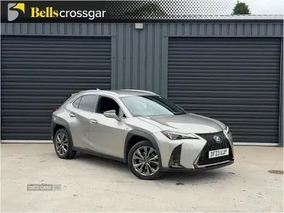 Used Lexus UX 250h