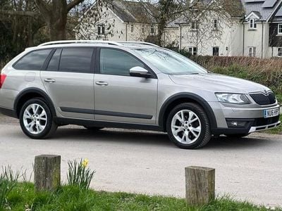 Used Skoda Octavia Scout Scout 4x4 184 HP (135 kW) 2016 Estate