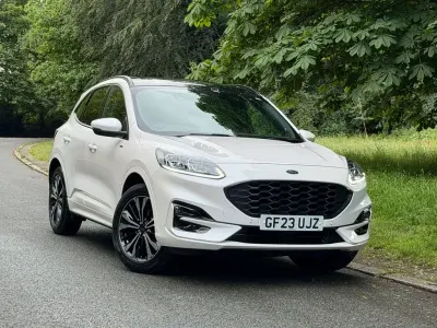 Used Ford Kuga ST-Line X 225 HP (165 kW) 2023 White SUV