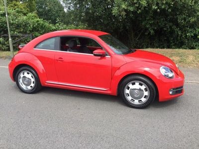 VW Beetle