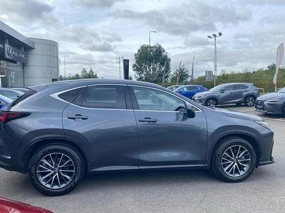 Lexus NX350h