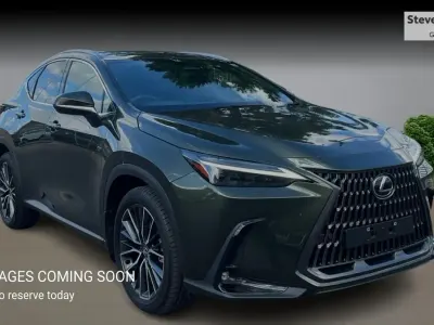 Used Lexus NX450h+ 2023 Green SUV