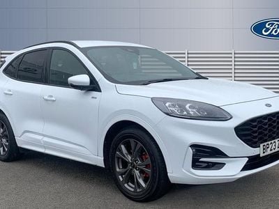 Used Ford Kuga ST-Line 150 HP (110 kW) 2023 White SUV