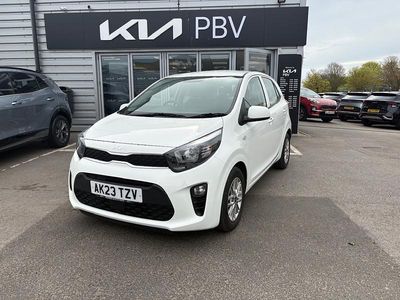 Used Kia Picanto 2023 White Hatchback