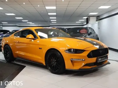 Used Ford Mustang GT Fastback 450 HP (330 kW) 2019 Orange Coupe