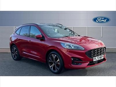 Used Ford Kuga ST-Line X 190 HP (139 kW) 2023 Red SUV