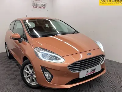 Used Ford Fiesta Zetec 70 HP (51 kW) 2018 Bronze Hatchback