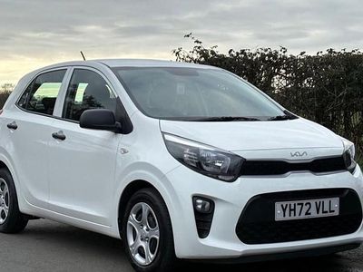 Used Kia Picanto 66 HP (48 kW) 2023 White Hatchback