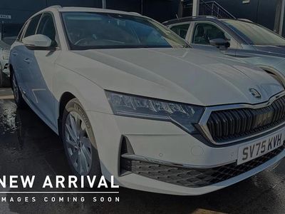 Used Skoda Octavia SE L 147 HP (108 kW) 2025 Moon white metallic Estate
