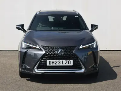 Used Lexus UX 250h 2023 Grey SUV