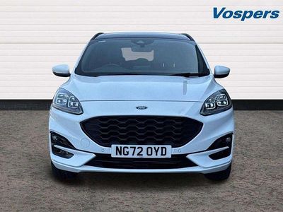 Used Ford Kuga ST-Line X 150 HP (110 kW) 2023 White SUV