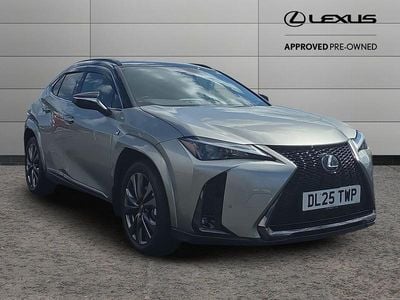 Used Lexus UX Sport Line 199 HP (146 kW) 2025 Silver SUV