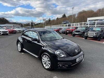 VW Beetle