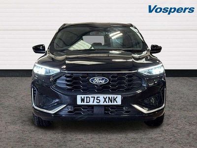 New Ford Kuga ST-Line X 150 HP (110 kW) 2025 Black SUV