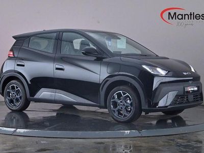 New BYD Dolphin Surf Boost 64 kW (88 HP) 2025 Hatchback