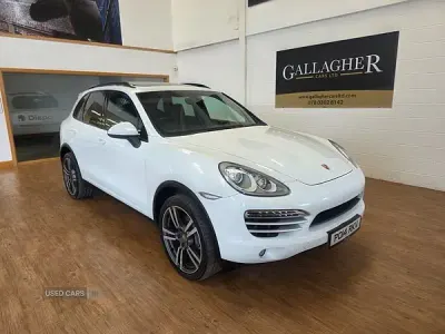 Used Porsche Cayenne Platinum Edition 245 HP (180 kW) 2014 White SUV