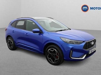 Used Ford Kuga ST-Line X 242 HP (177 kW) 2026 SUV