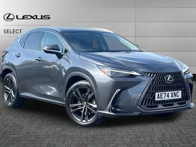 Used Lexus NX450h+ 306 HP (225 kW) 2024 Grey SUV