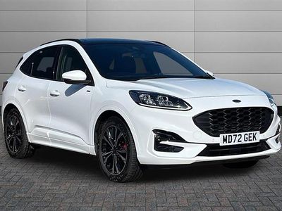 Used Ford Kuga ST-Line X 190 HP (139 kW) 2023 White SUV