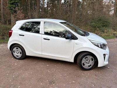 Used Kia Picanto 66 HP (48 kW) 2020 White Hatchback