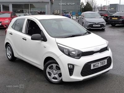 Used Kia Picanto 66 HP (48 kW) 2022 White Hatchback