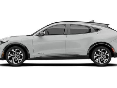 Used Ford Mustang Standard Range 269 HP (197 kW) 2021 Estate