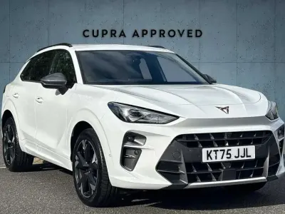 Used Cupra Terramar