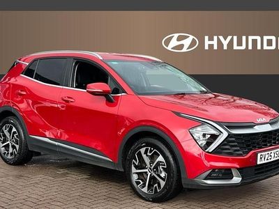 Used Kia Sportage 209 HP (153 kW) 2024 SUV