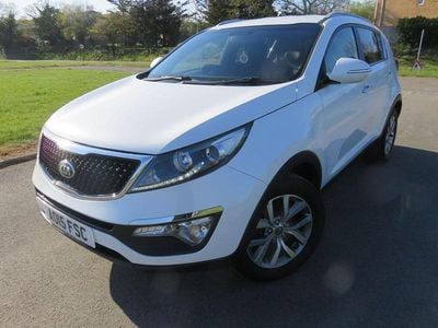 Used Kia Sportage 2015 White SUV