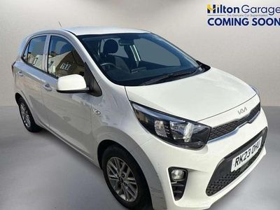 Used Kia Picanto 67 HP (49 kW) 2023 White Hatchback