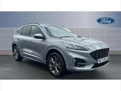 Used Ford Kuga ST-Line 225 HP (165 kW) 2023 Silver SUV