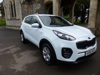 Used Kia Sportage 2016 White SUV
