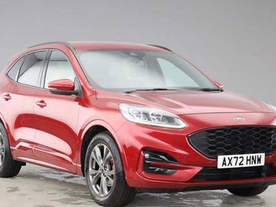 Used Ford Kuga ST-Line 150 HP (110 kW) 2023 SUV