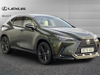 Terrane khaki Used 2025 Lexus NX350h SUV | £47,500