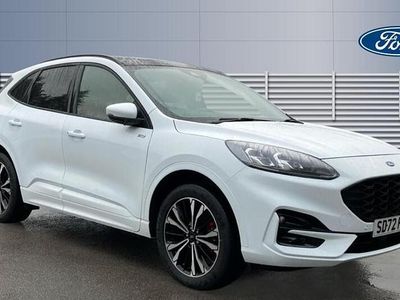 Used Ford Kuga ST-Line X 225 HP (165 kW) 2022 White SUV