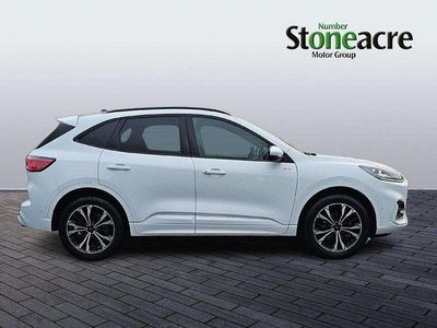 Used Ford Kuga ST-Line X 225 HP (165 kW) 2023 White SUV