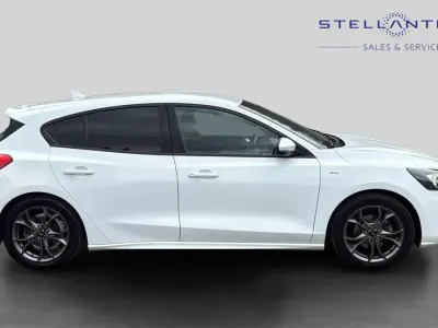 Used Ford Focus ST-Line 123 HP (90 kW) 2019 White Hatchback