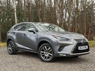 Used Lexus NX300h 2020 Grey SUV