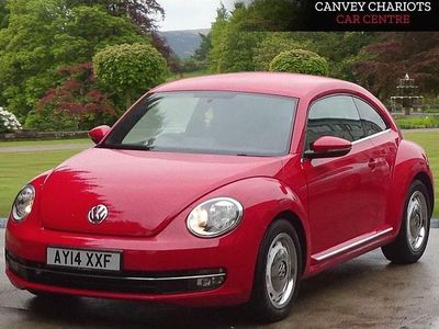 VW Beetle