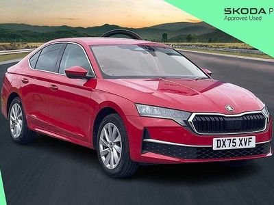 Usado Skoda Octavia SE L 110 CV (80 kW) 2025 Rojo Utilitario