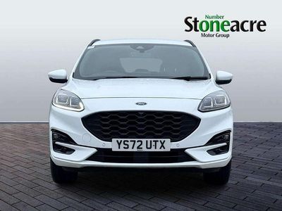 Used Ford Kuga ST-Line 221 HP (162 kW) 2022 White SUV