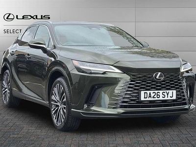Nuevo Lexus RX350h 206 CV (151 kW) 2026 Terrane khaki SUV