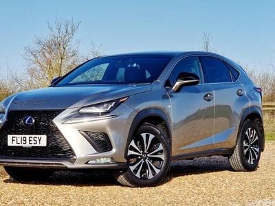 Used Lexus NX300h E-FOUR 2019 SUV