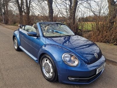 VW Beetle