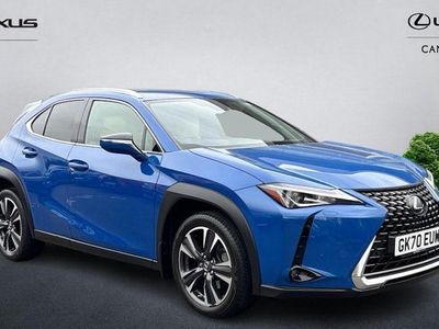 Used Lexus UX 250h 184 HP (135 kW) 2024 SUV