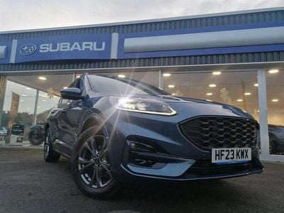 Used Ford Kuga ST-Line 150 HP (110 kW) 2023 Blue SUV