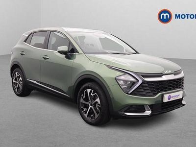 Used Kia Sportage 209 HP (153 kW) 2024 SUV