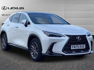 Used Lexus NX350h 243 HP (178 kW) 2025 Sonic white SUV